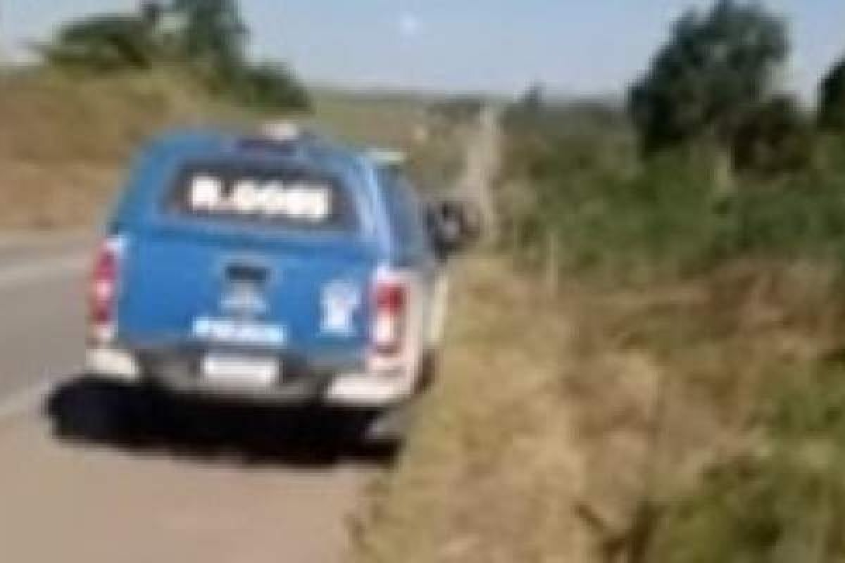 Polícia encontra bebê dilacerado em matagal na Bahia