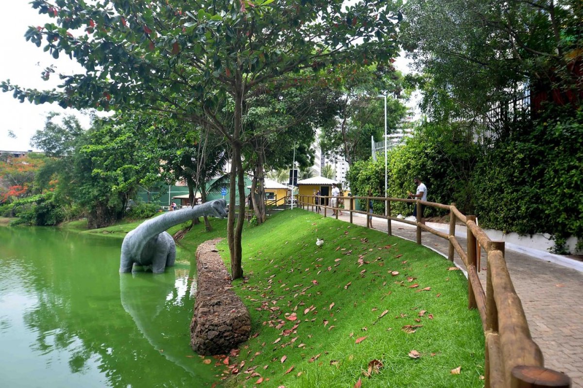 Parques públicos de Salvador reabrem a partir de segunda-feira (12)