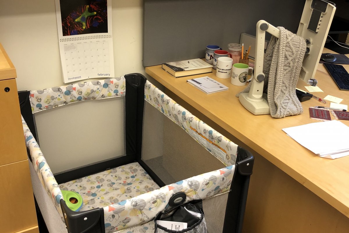 Professor coloca berço em escritório para aluna trabalhar