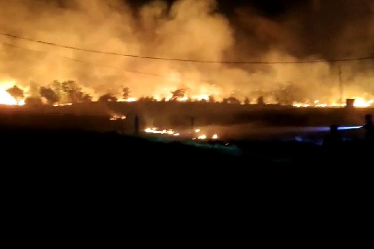 Incêndio atinge região de vegetação com aproximadamente 20 mil metros quadrados em Guanambi, na Bahia