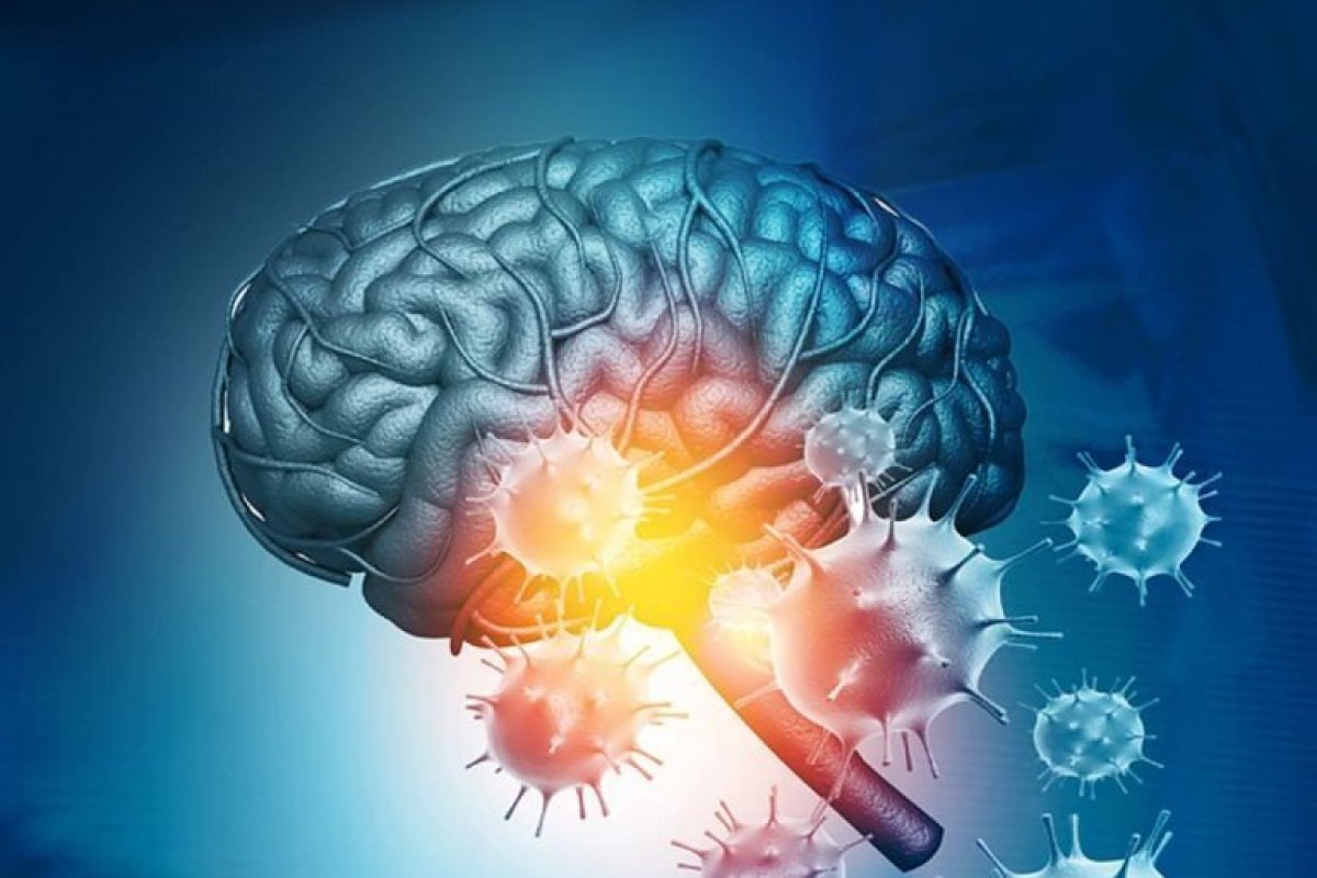 A Covid-19 e o cérebro