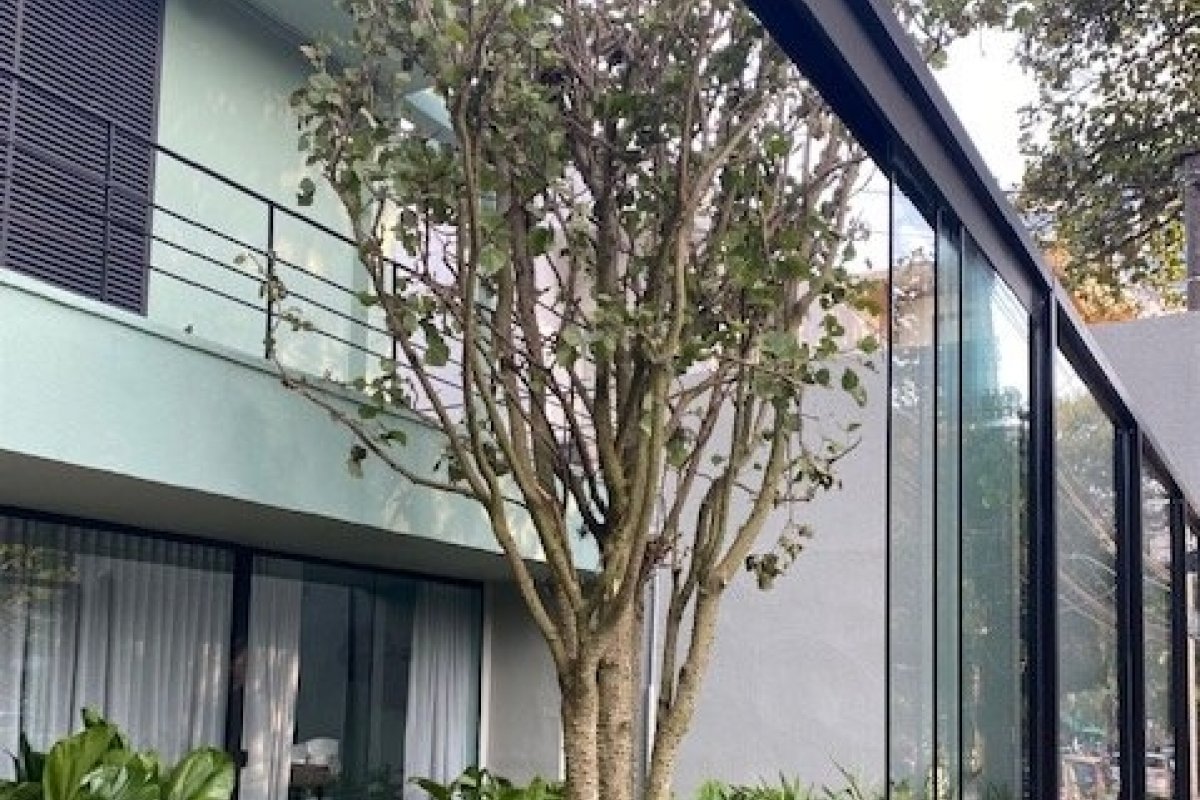 São Paulo ganha espaço de atendimento humanizado para homens e mulheres que passam por perda temporária ou definitiva de cabelo