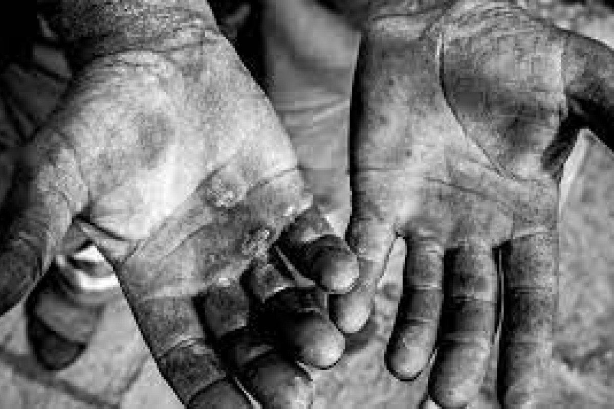 Bahia é único estado do Nordeste com casos de imigrantes em trabalho escravo em 14 anos, diz agência