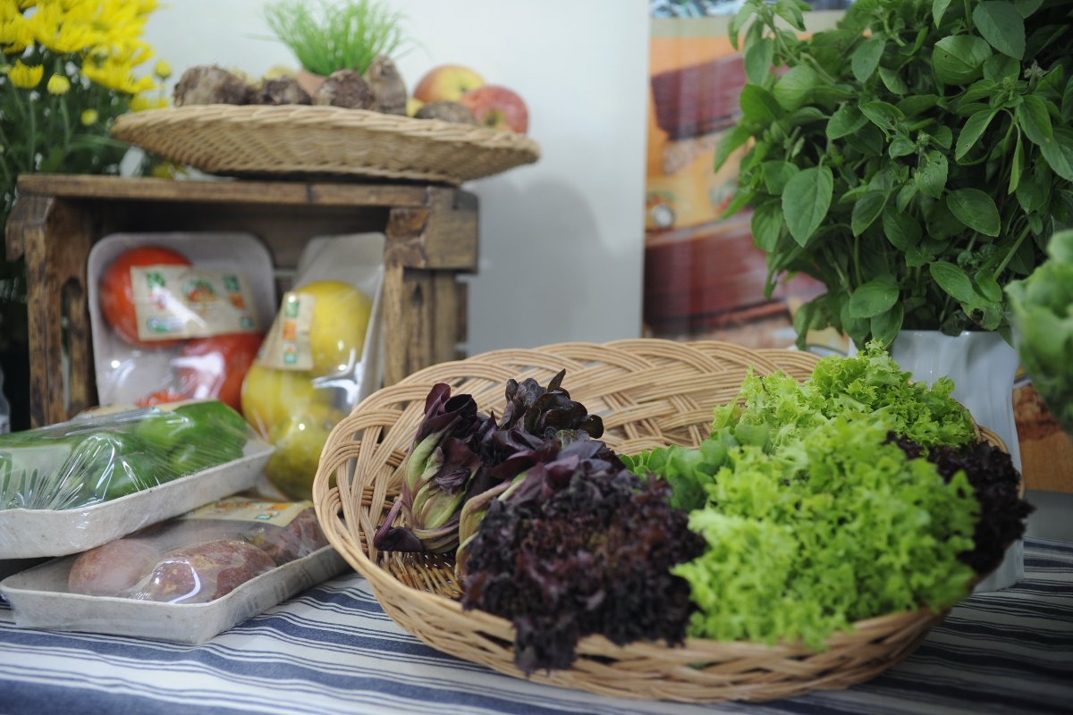 Produção de Alimentos Orgânicos é tema de encontro no Sul da Bahia
