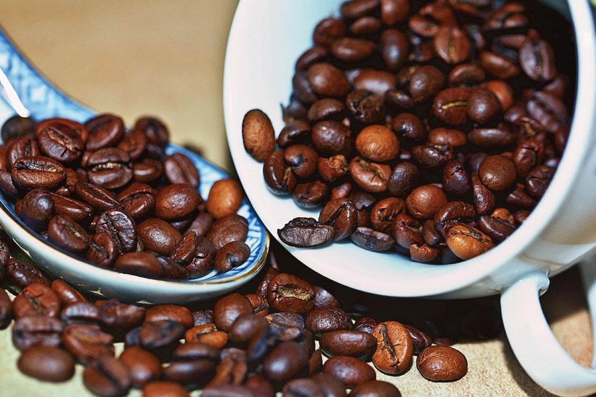 Preço do café supera R$ 1000 por saca no Brasil