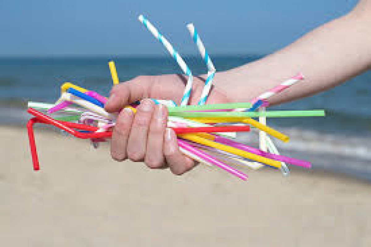 Lei que proíbe o uso de canudos plásticos descartáveis em Salvador será votada nesta semana