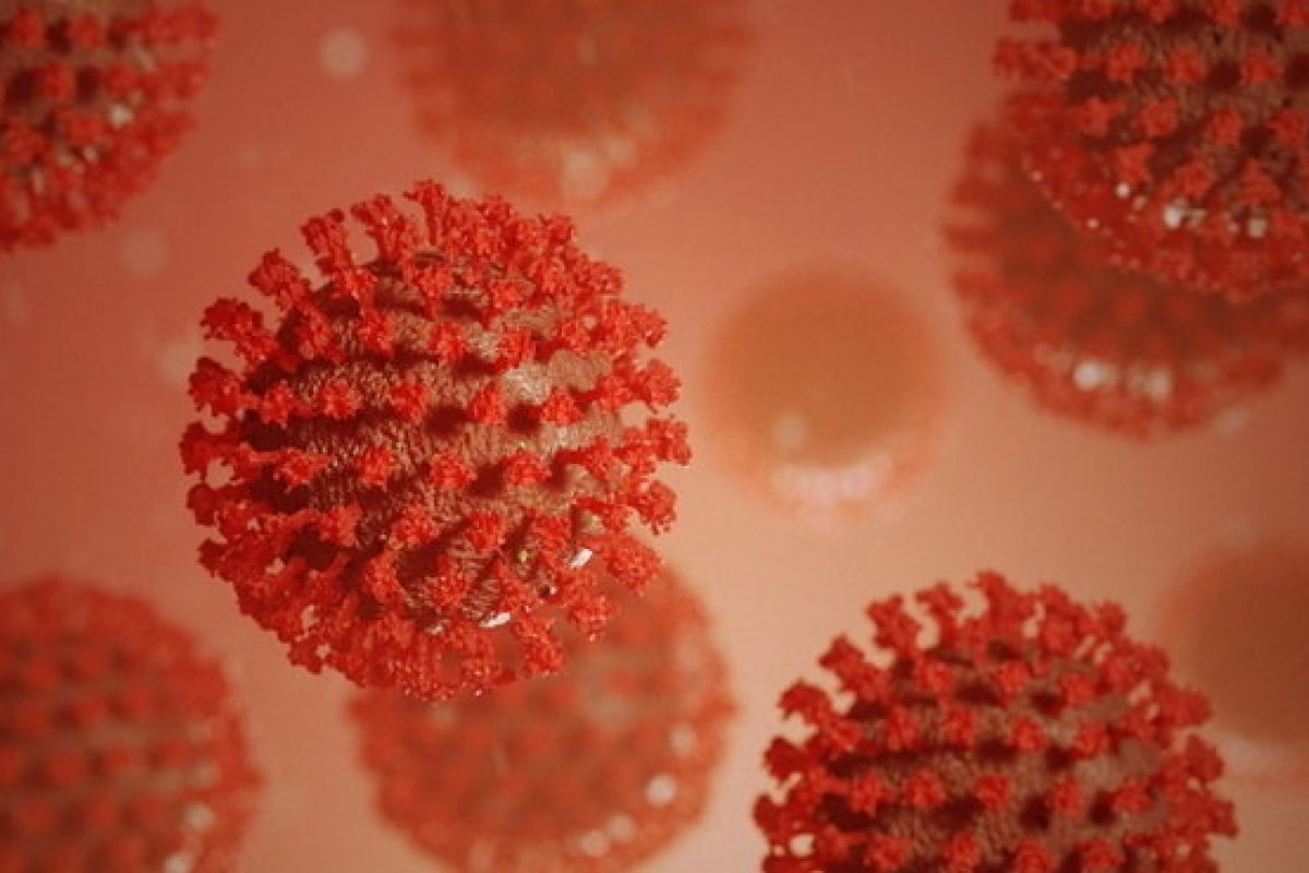 Variante Delta preocupa no Brasil, mas a Gama ainda é predominante