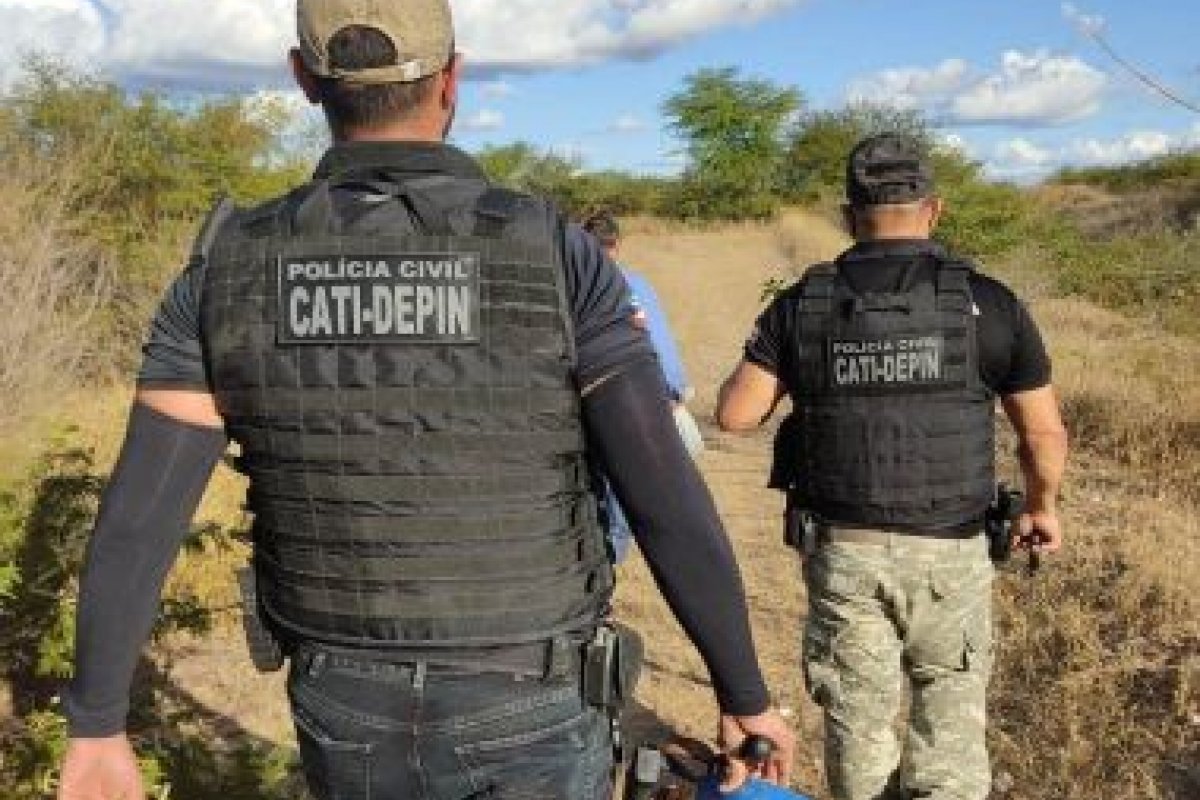 Mais de mil pés de maconha são erradicados em povoado em Casa Nova