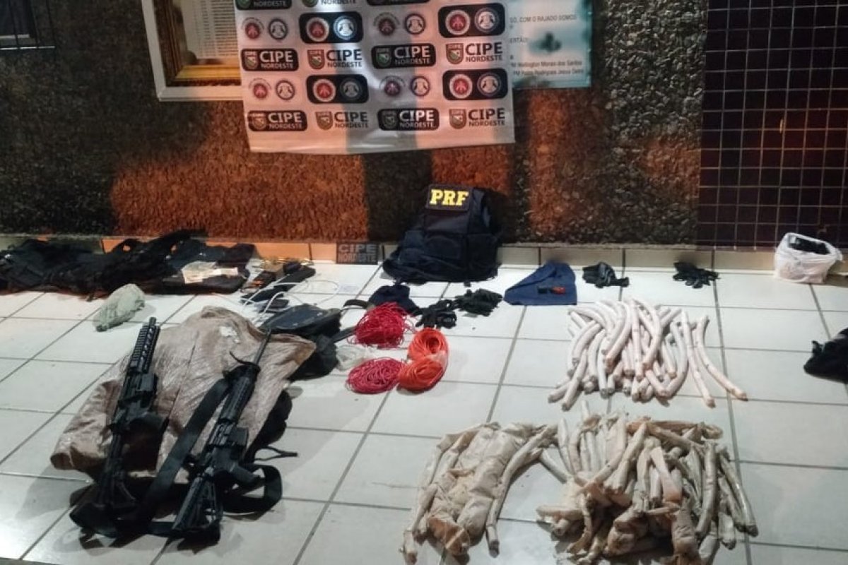 Homem é preso com fuzis e dinamites em rodovia na Bahia