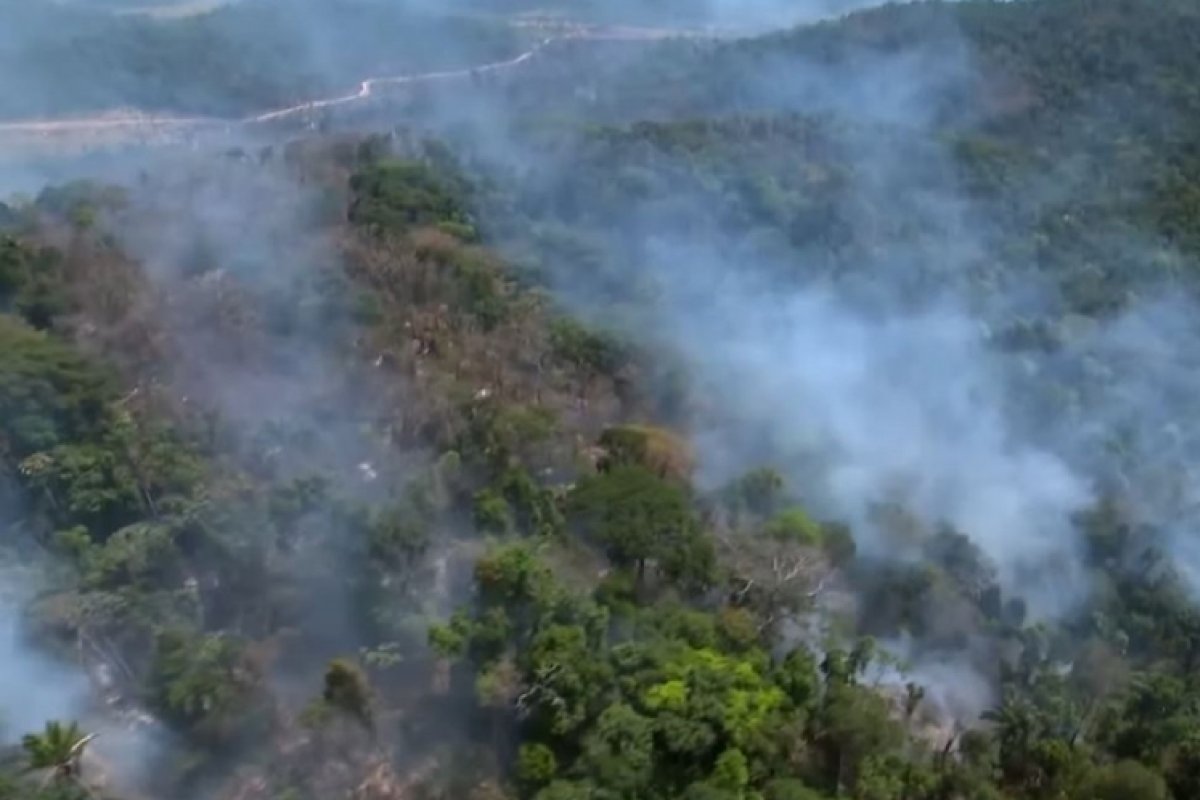 Combate ao incêndio da Amazônia terá incentivo de R$ 430 milhões recuperados na Lava Jato