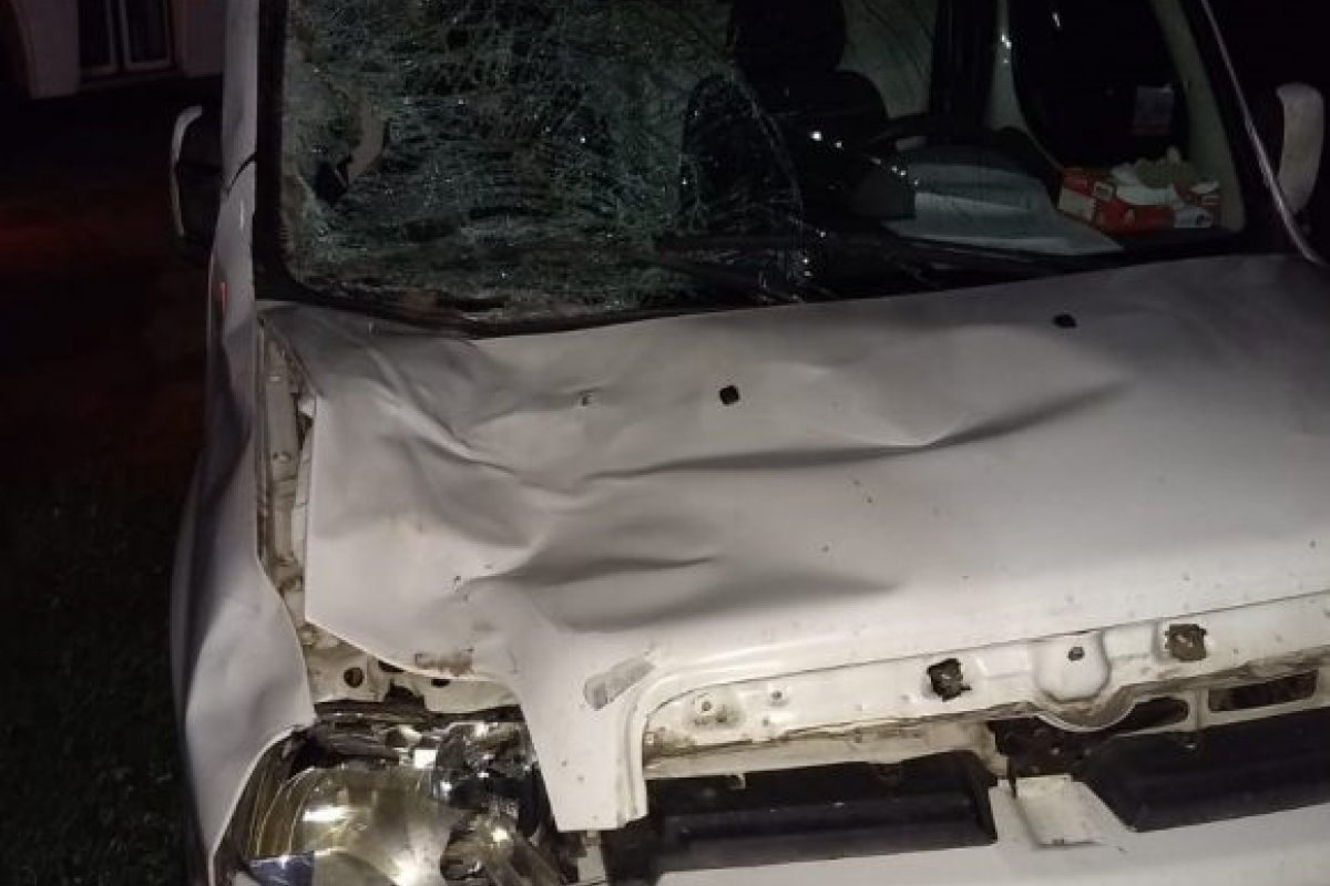 Animal provoca acidente com ambulância na Rodovia Ilhéus - Uruçuca