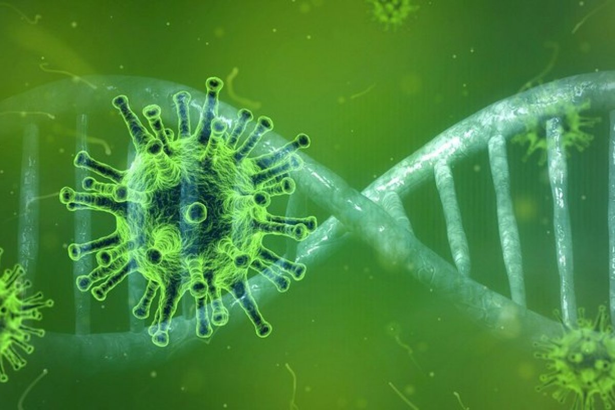 Brasileiros possuem dois milhões de variantes genéticas inéditas, diz estudo