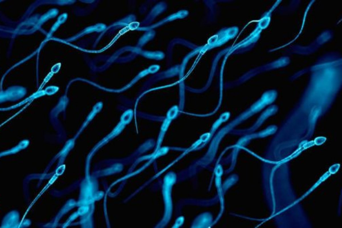 Chineses estudam desenvolver ímãs contraceptivos masculino