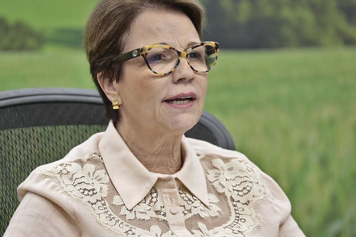"Brasil pode ser o principal player para investimentos verdes", diz ministra da Agricultura