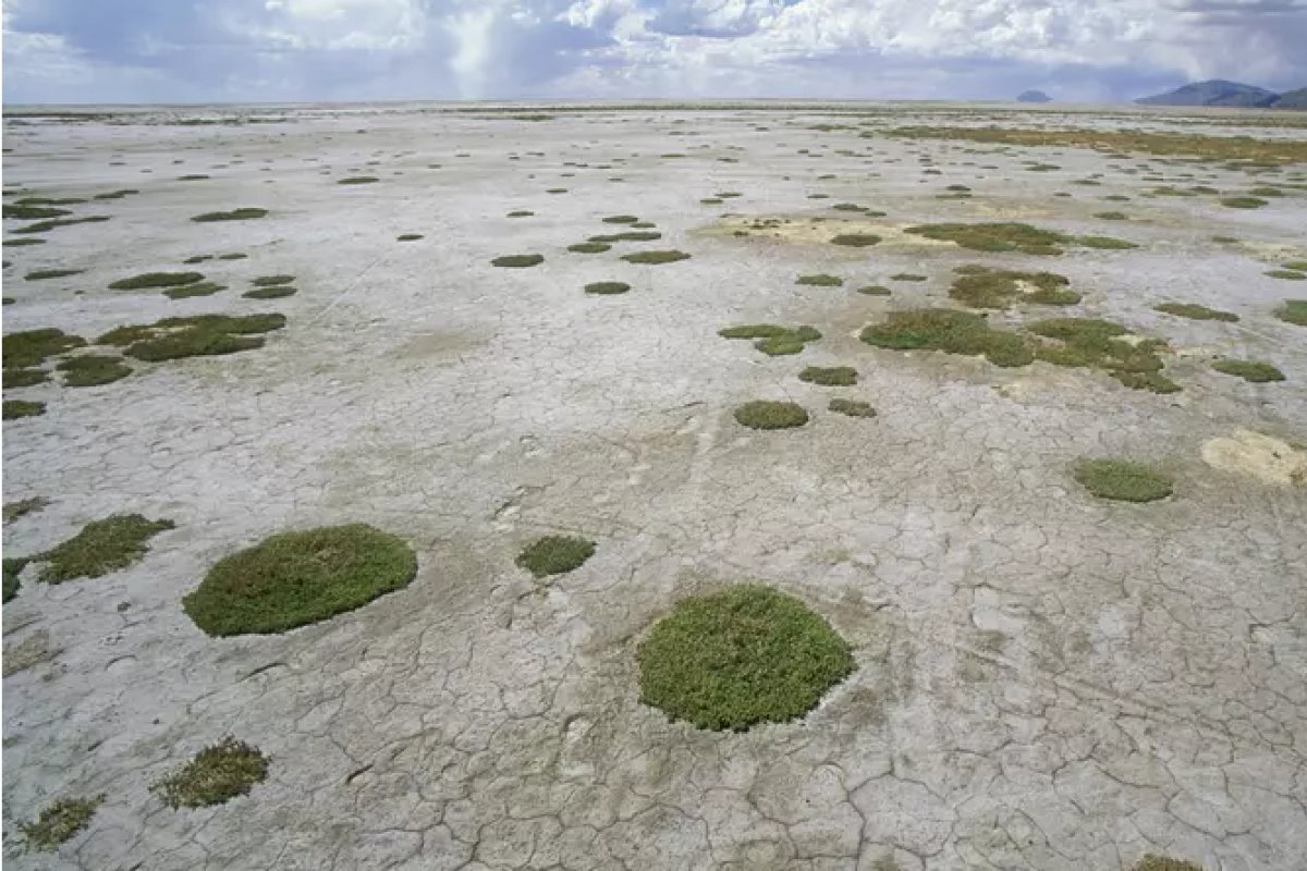 Crise climática: segundo maior lago da Bolívia desaparece
