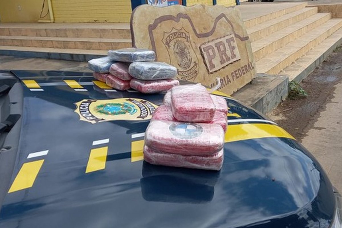 Mulher é presa com 15 kg de cloridrato de cocaína em ônibus na Chapada Diamantina