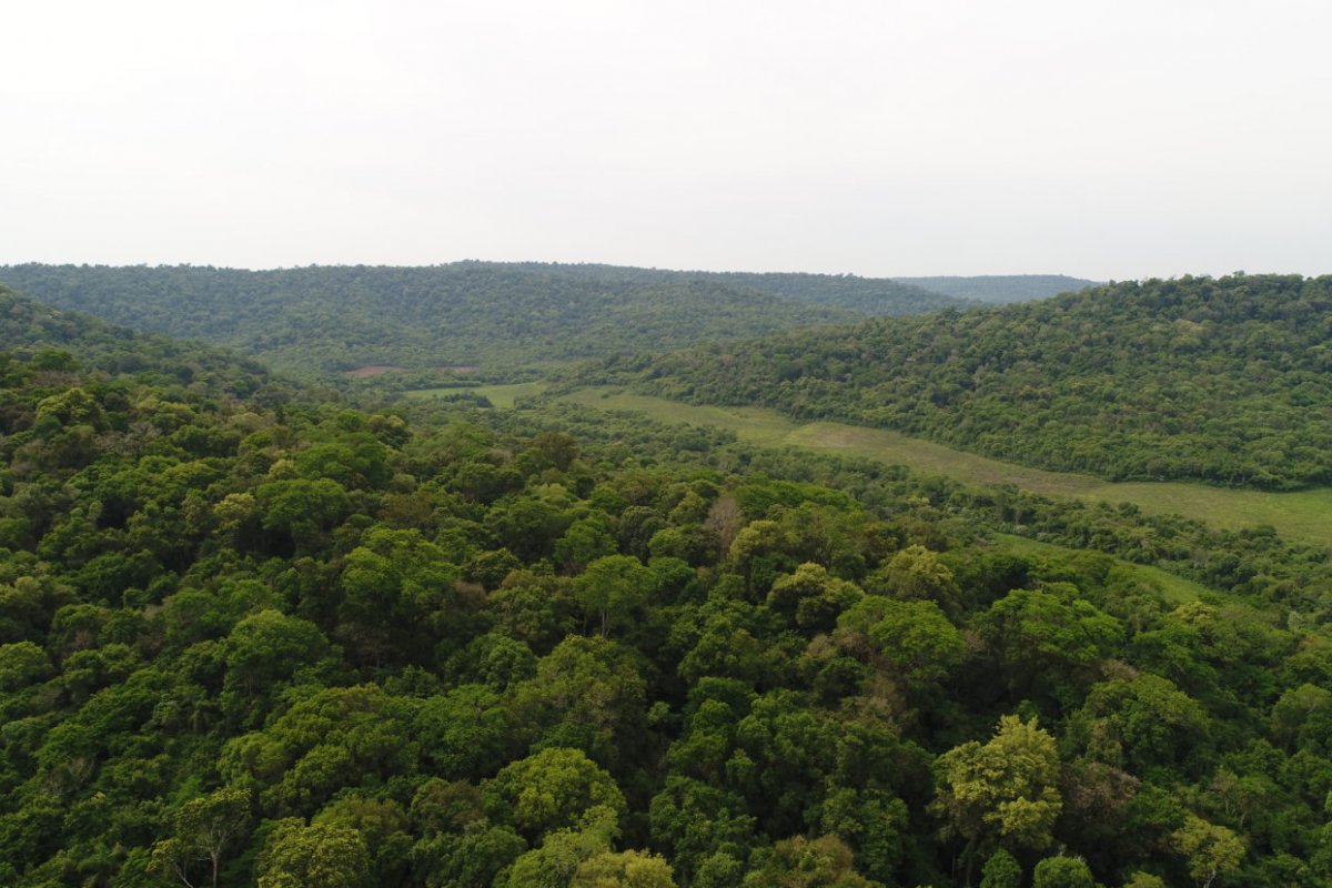 Jovem kaingang é encontrada morta e com corpo dilacerado na Terra Indígena do Guarita