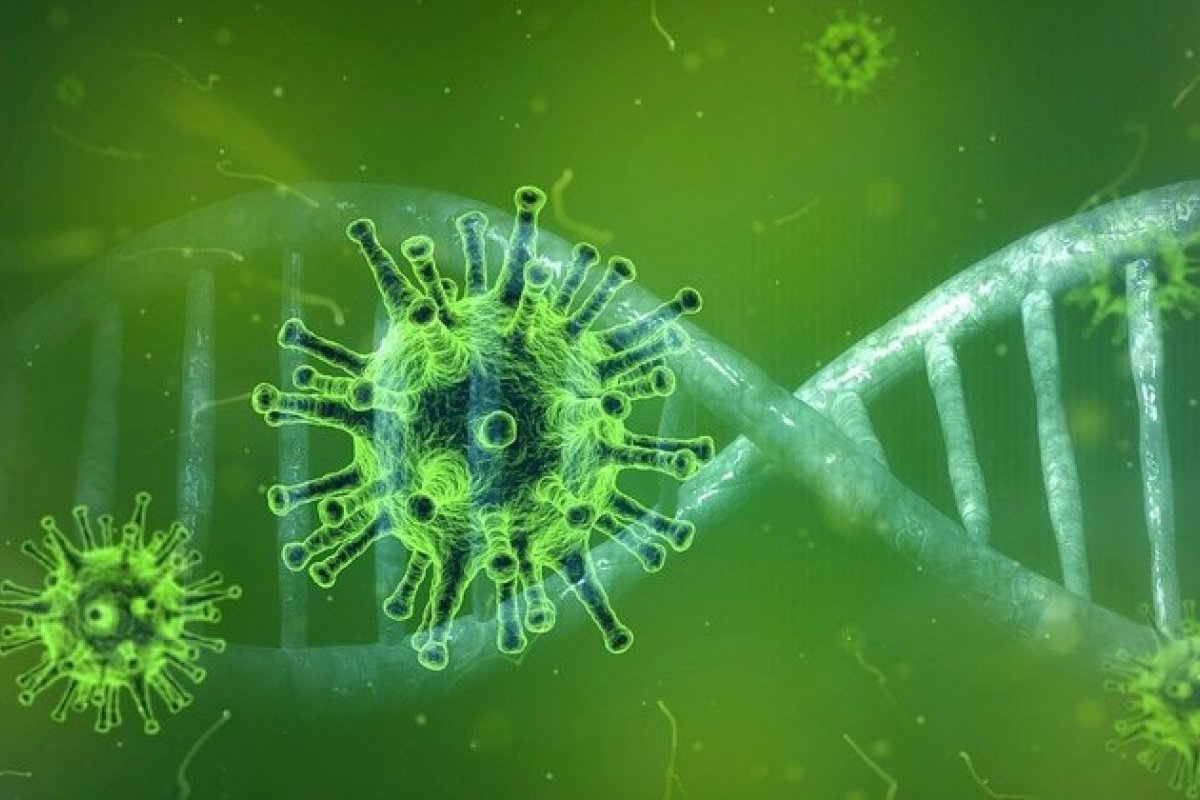 Variante Delta: 'Gestores tem de se preparar para o pior, esperando pelo melhor', diz virologista da Fiocruz