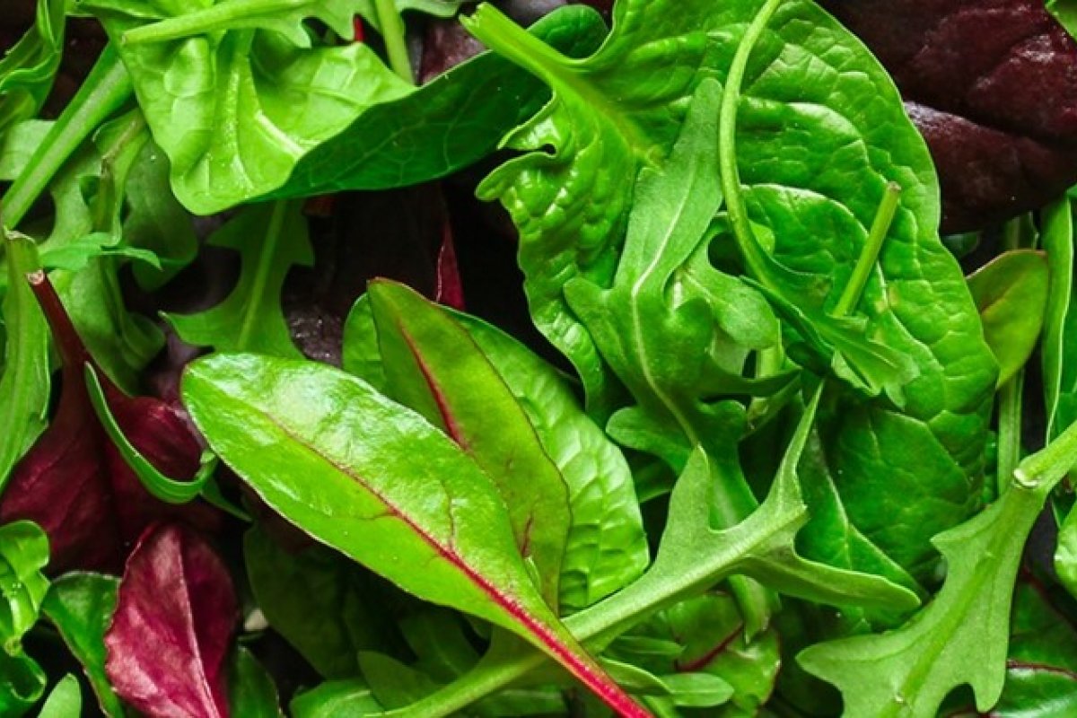 Alimentação rica em plantas diminui risco de doenças do coração, diz estudo