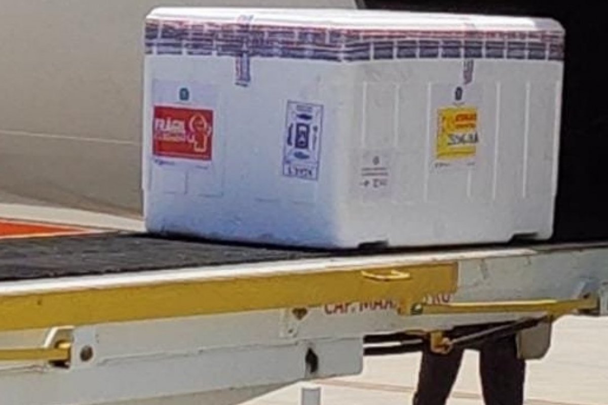 Governo Federal envia à Bahia mais de 318 mil doses de imunizantes contra Covid-19