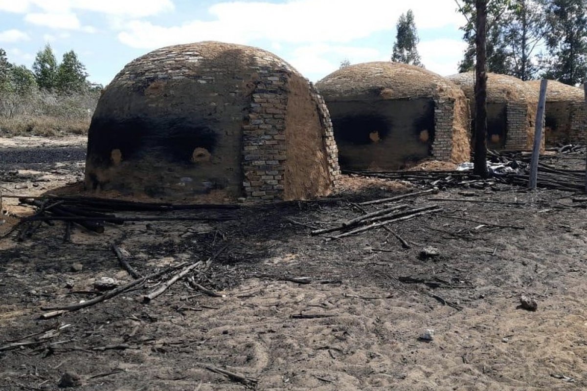 Carvão vegetal e madeira nativa são apreendidos em operação na BA