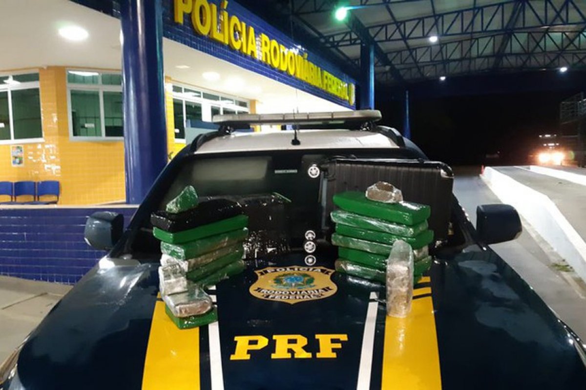 Ação policial na BR-116 apreende 14 kg de maconha em ônibus estadual