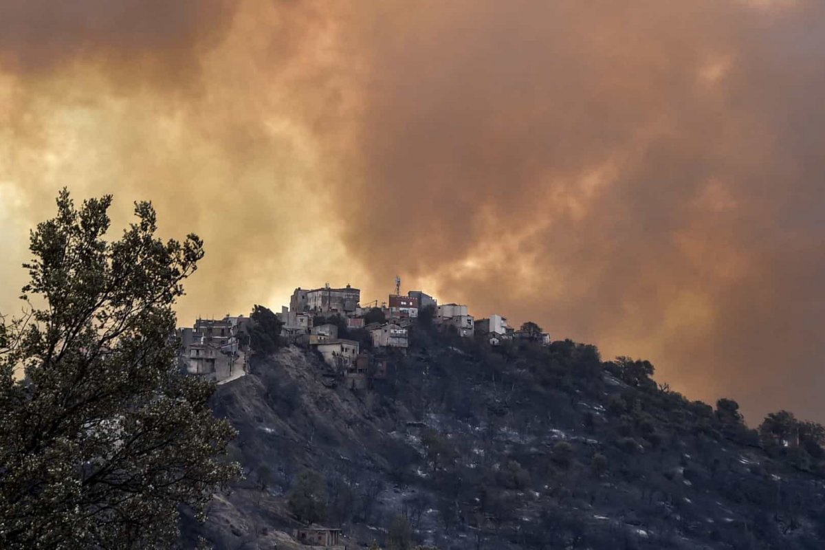 Incêndios devastam norte da Argélia e deixam mais de 40 mortos