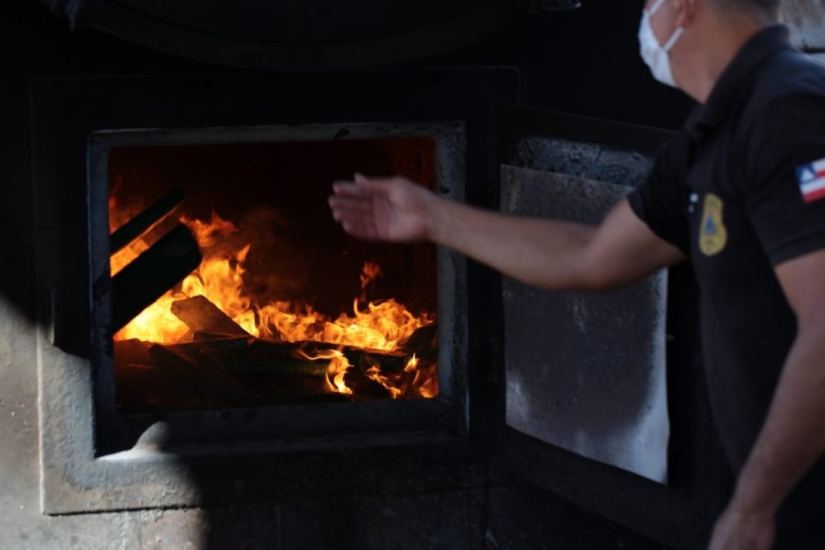 Mais de 100 kg de maconha são incinerados no sudoeste da Bahia