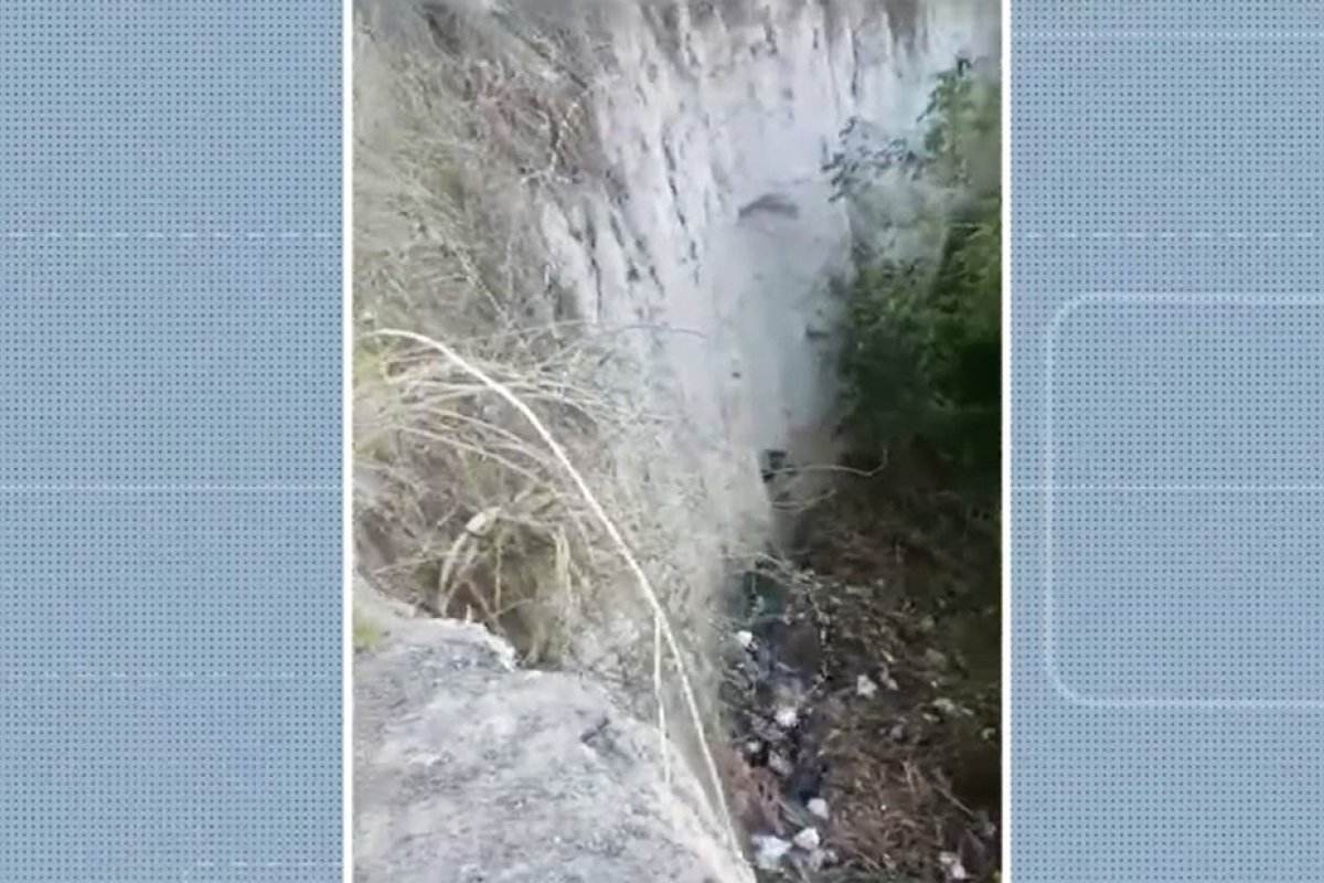 Bombeiros resgatam cachorro após passar três meses preso em área de ribanceira na Bahia