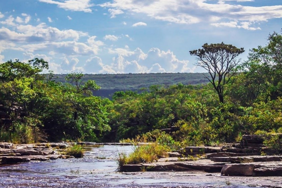 Doze municípios têm situação de emergência reconhecida por causa das chuvas