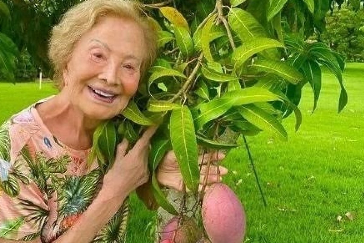 Viva! Glória Menezes apresenta melhora e deixa oxigênio em internação por Covid- 19