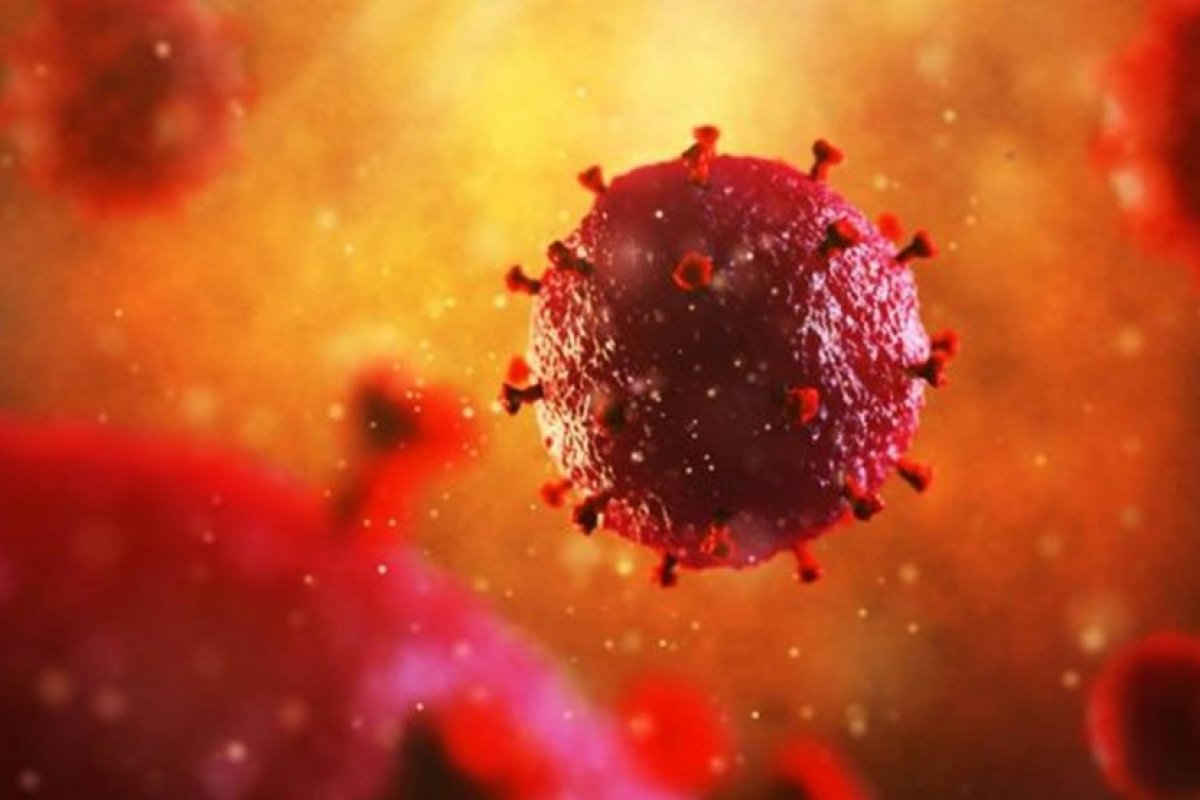 Técnica de fotoimunoterapia pode eliminar vírus HIV, diz pesquisa