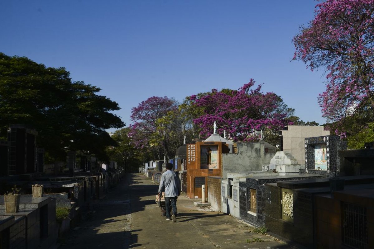 Lentidão na resposta do Brasil à Covid gera mais custos para o governo, diz Ipea