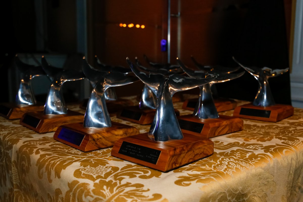 Prêmio vai eleger melhores barcos e marinas do Brasil