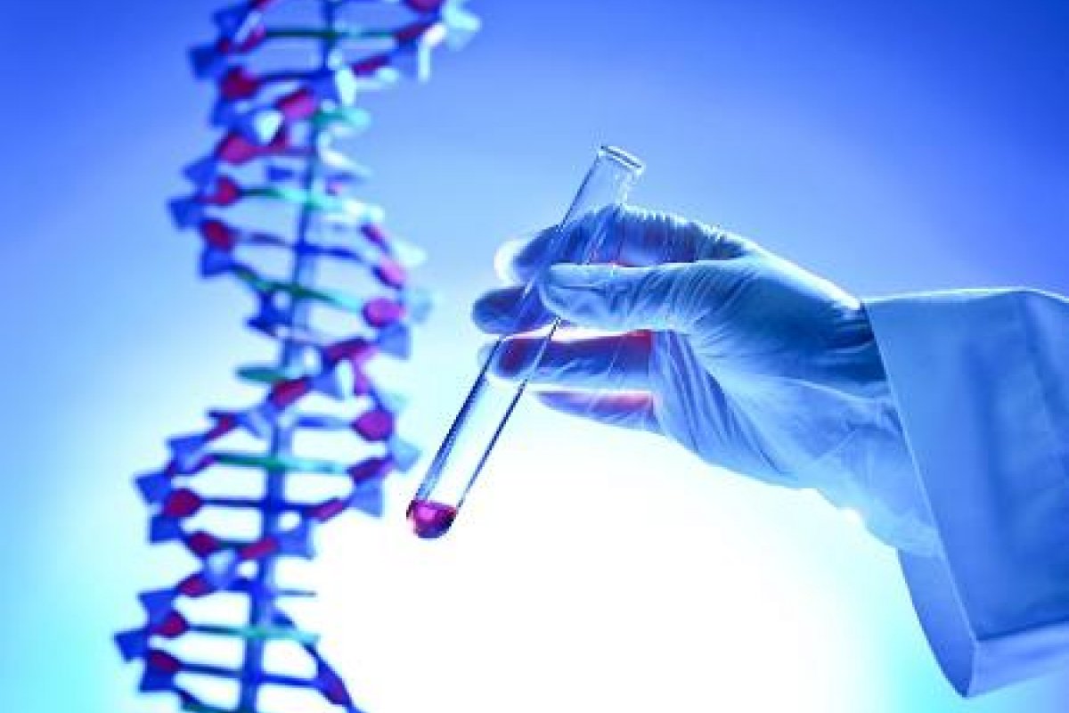 Teste de ancestralidade genética ajuda a prevenir doenças