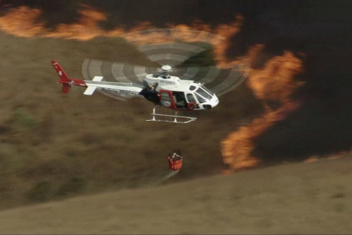 Vídeo: Bombeiros seguem combatendo fogo no Parque Estadual do Juquery, em Franco da Rocha, nesta segunda (23)