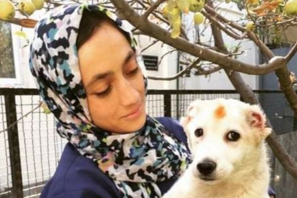 Reino Unido autoriza retirada de cães e gatos do Afeganistão