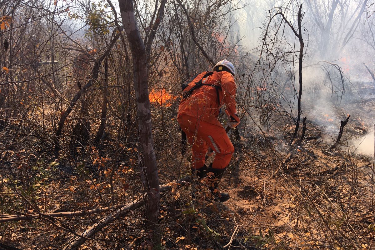Bombeiros controlam incêndio em vegetação nas regiões da Bahia