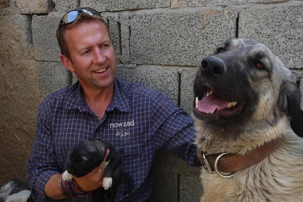 Ex-militar britânico é barrado na entrada do aeroporto de Cabul com 200 cães e gatos