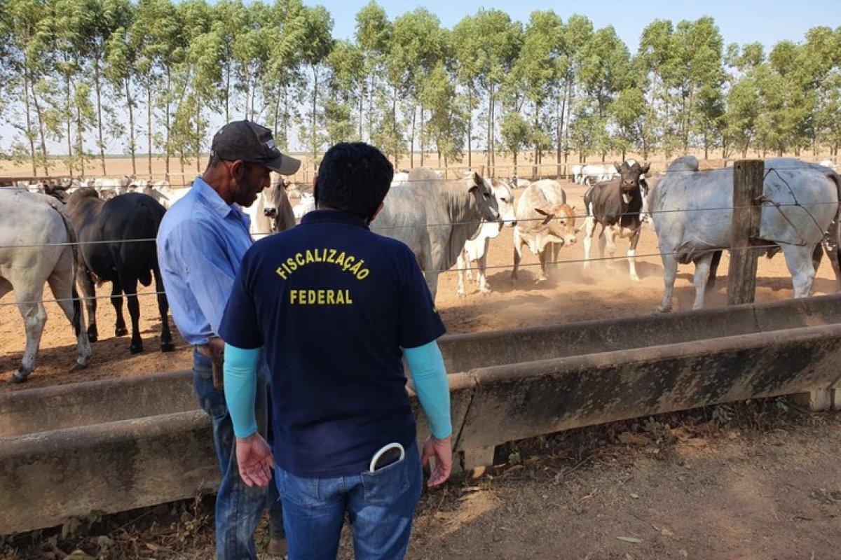 Mais de 740 toneladas de insumos agropecuários irregulares são apreendidos na Operação Ronda Agro VII