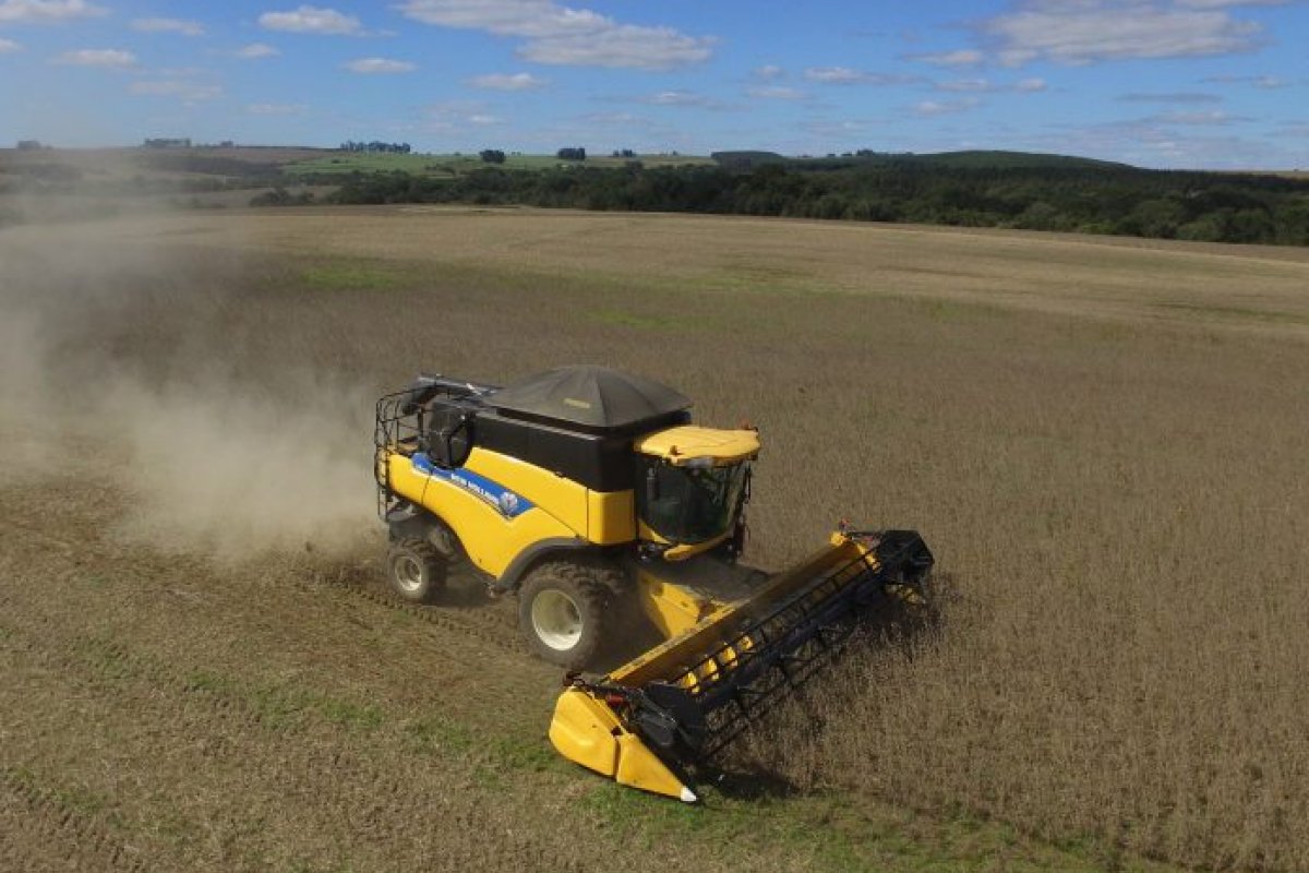 Apesar de desacelerar em agosto, IGP-M acumula inflação de 31,12% em 12 meses