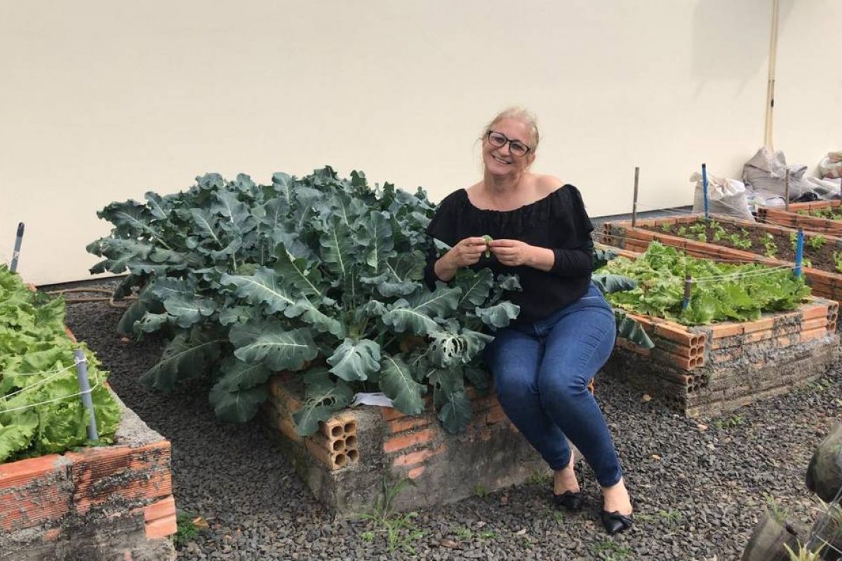 Vídeo: Rifa de escola com porco, salame e galinha viraliza e vende mais de 15 mil bilhetes