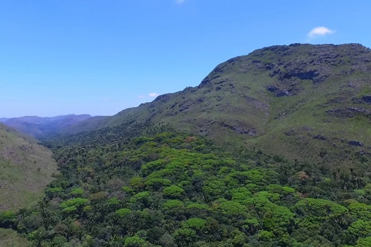 Cinco propriedades são transformadas em reservas ambientais na Chapada Diamantina