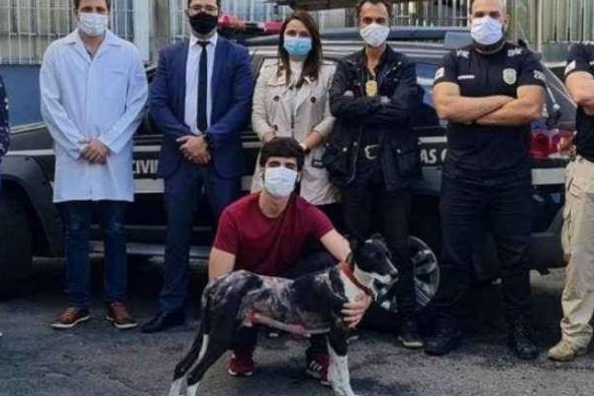 Suspeito é preso após atear fogo no cachorro da ex-namorada em Minas Gerais