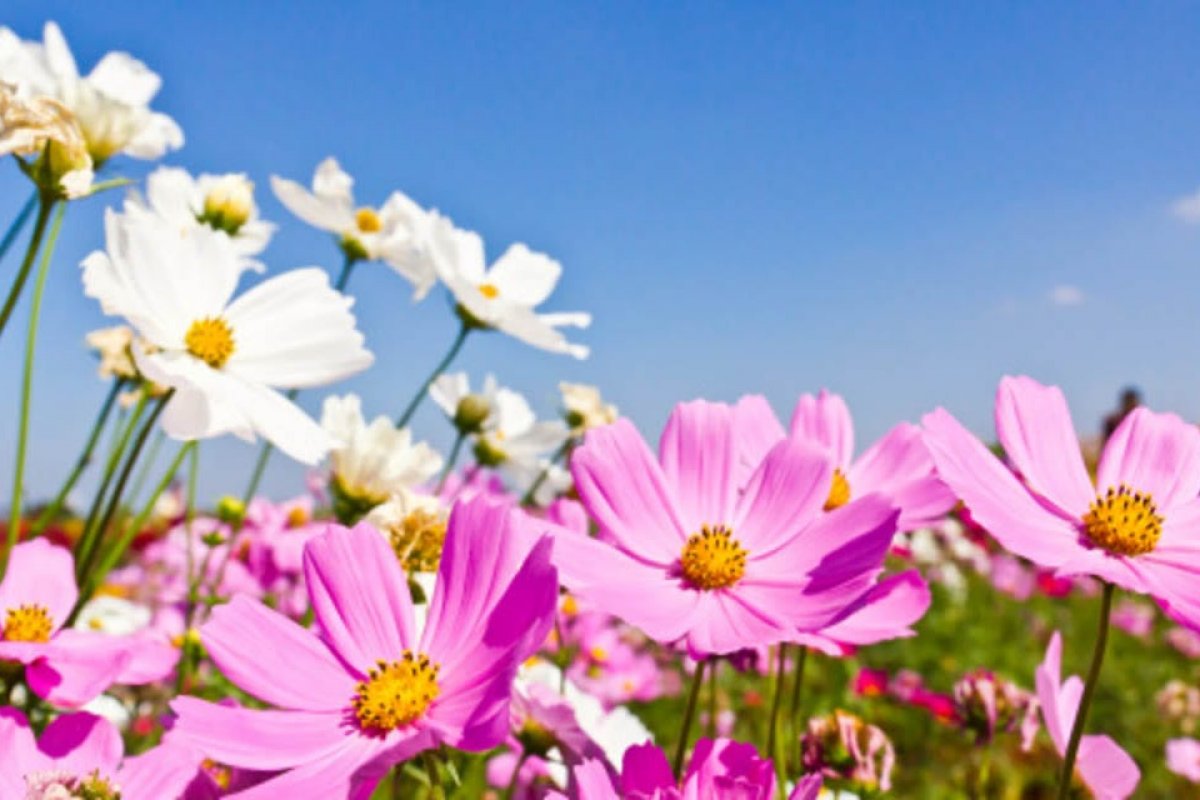 Inmet diz que primavera de 2019 deve ter menos chuvas do que o normal