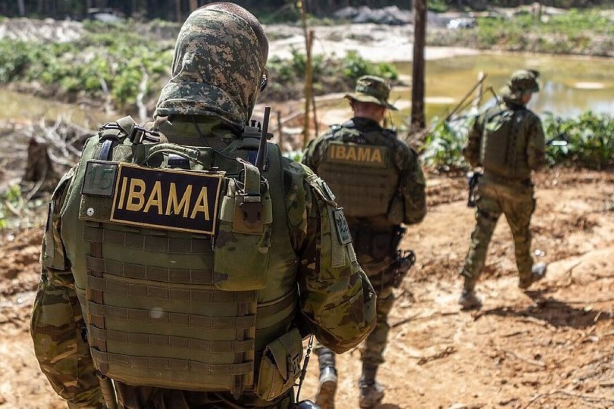 Governo aprova concurso público para cargos do Ibama e do ICMBio