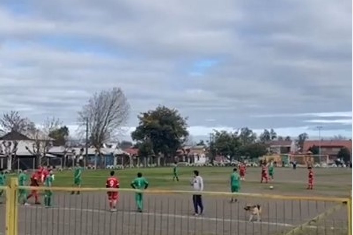 Cachorro rouba a cena após invadir partida de futebol e fazer gol, no Chile