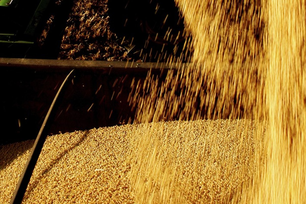 SEI: Levantamento aponta crescimento de 69,5% nas exportações da Bahia