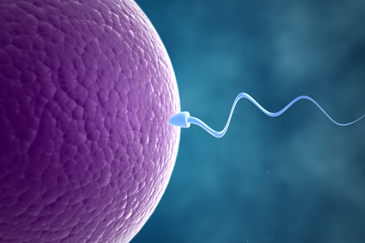 Homens infectados com Covid-19 podem ter fertilidade afetada por causa da doença, diz pesquisa