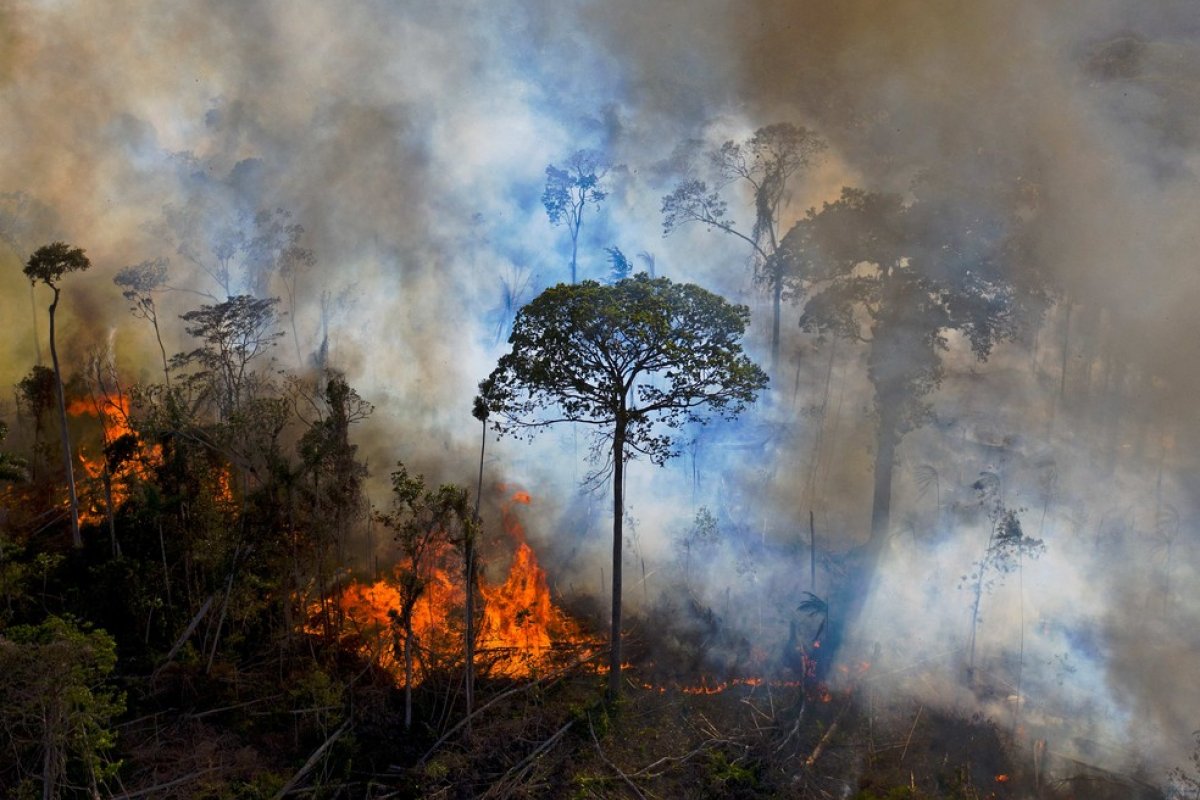 Cerrado tem a maior área sob alerta de desmatamento para agosto desde 2018